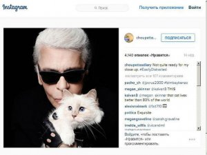 Скончавшийся 19 февраля немецкий модельер Лагерфельд завещал часть своего состояния кошке