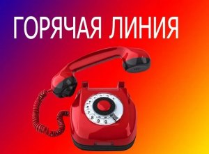 Следственный комитет открыл горячую линию для жалоб о давлении на бизнес