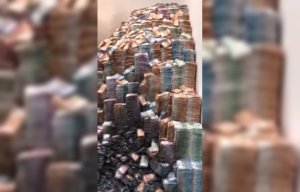 [Фейк от Фонтанки]  «Фонтанка»: в Москве пытались сжечь гору денег в день обысков по делу сенатора Арашукова. Позже издание удалило новость