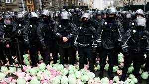 В Киеве националисты забросали администрацию Порошенко плюшевыми свиньями