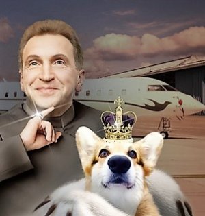 Baza: Росреестр оценил участок Шувалова в Сколково в 3000 раз ниже кадастровой стоимости