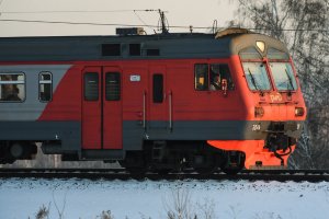 В Ленобласти машинист остановил электричку, чтобы спасти собаку.