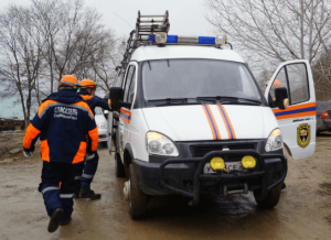 Спасатели отловили змею в музыкальной школе