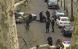 В Лондоне со стрельбой задержан врезавшийся в машину посла Украины