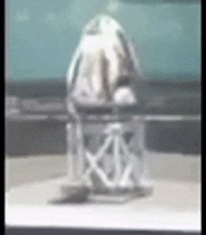 Космический корабль компании SpaceX Crew Dragon вчера взорвался при наземном испытании системы аварийного спасения