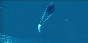 Россия усиливается секретным "Посейдоном". Чем ответят ВМС США?
