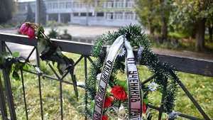 Бастрыкин назвал причины стрельбы в керченском колледже