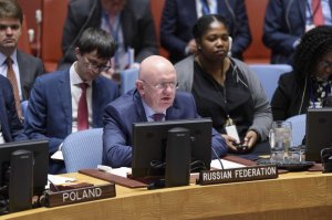В результате различных внутренних причин и беспардонного вмешательства извне в регионе образовалось еще несколько кризисных очагов, в частности в Йемене, Ливии, Сирии, Ираке - В.А.Небензя