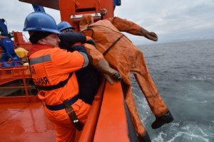 Россия и Норвегия завершили совместное морское учение в Арктике