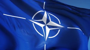 Военные атташе стран НАТО прибыли в Петрозаводск почтить память нацистов.