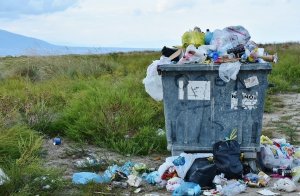 В Германии хотят разрешить жителям брать еду из мусорных контейнеров.