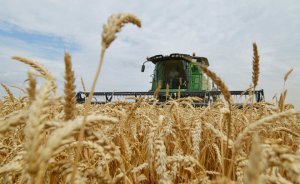 Налоговики раскрыли схему, использованную калининградскими экспортерами зерна. Ущерб оценивается в сотни миллиардов долларов!