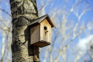 В Нижневартовске рекламу наркотиков стали размещать на кормушках для птиц