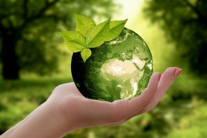 WWF признал Францию главным загрязнителем Средиземного моря пластиком .
