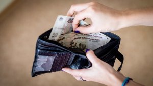 Правительство раскрыло факты, влияющие на снижение доходов жителей страны