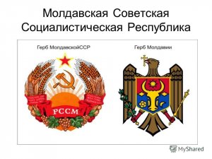 Плахотнюк и руководство Демпартии бежали из Молдавии — СМИ