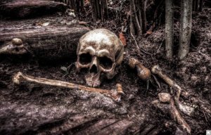 Ученые определили главные сценарии гибели человечества