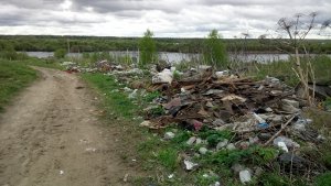 ОНФ в Коми призвал местные власти ликвидировать свалки у берега Вычегды в Жешарте