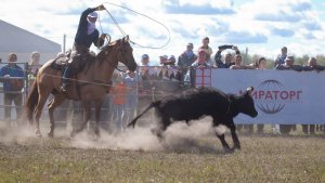 «Мираторг» решил «зачистить» интернет от нелестных отзывов