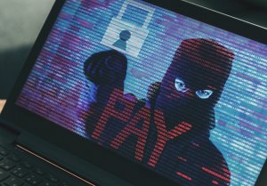 Властям Флориды пришлось заплатить $600 тысяч создателям шифровальщика-криптовымогателя