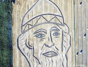 Итальянский тракторист нарисовал на поле портрет князя Владимира