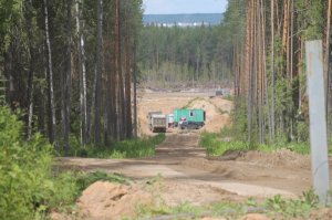 ОНФ в Коми обратился к властям для проверки законности вырубки леса и разработки песчаного карьера у деревни Граддор