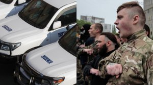 Комитет ПА ОБСЕ отклонил резолюцию России по борьбе с героизацией нацизма