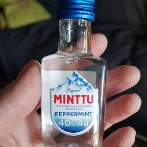 Финский "алкотурист" возвращается в привычную для него Эстонию.