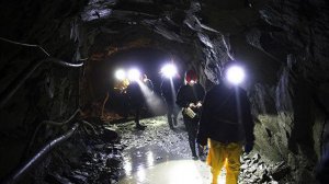 Роспотребнадзор назвал самые опасные для здоровья профессии