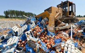 В правительстве РФ поддержали идею о том, что пора прекратить давить бульдозерами санкционные продукты
