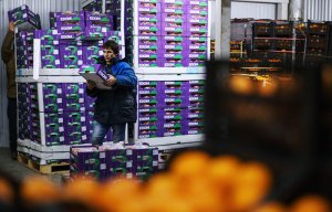 Украина продлила на 2020 год действие эмбарго на российские товары