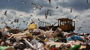 Путин поручил учесть мнение местных жителей при строительстве полигона Шиес