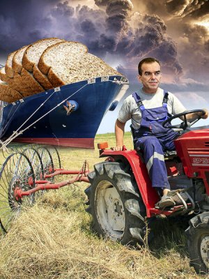 Социальный «кирпичик» взял высоту и новые, блин, рекорды