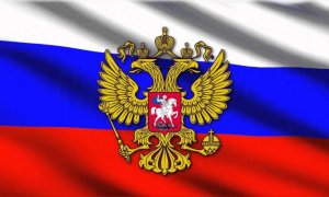 За сожжение флага России жительнице Саранска ограничили свободу