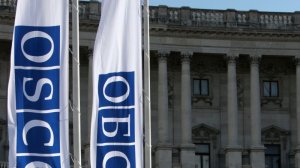 В ОБСЕ раскритиковали украинский закон о государственном языке