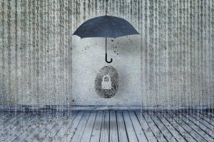 Разработчики должны нести ответственность за уязвимости в своих программах - Совбез РФ