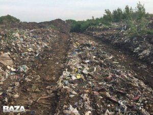 Baza: полиция приехала с проверкой на незаконную свалку около Жуковского. Власти области заявляли, что её там нет