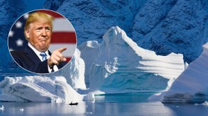 Датские власти сочли безумием идею о продаже Трампу Гренландии