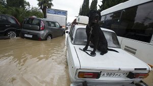 В Сочи подготовились к эвакуации жителей из-за ливней