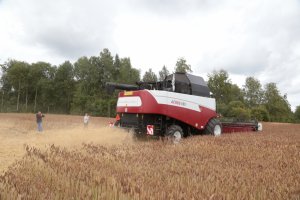 В Томской области провели успешный эксперимент по уборке урожая беспилотным комбайном