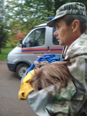 Исчезнувшую 2 дня назад под Вологдой девочку нашли в кустарнике. Она укрывалась листьями