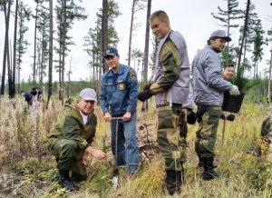 Иркутские активисты ОНФ провели осенний этап акции по посадке леса на байкальском острове Ольхон