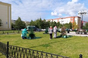 Трава в Когалыме никогда не была зеленее. Ведь там очень ждали губернатора и на краску не поскупились