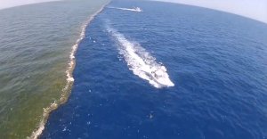 Премьер Украины хочет соединить Балтийское и Черное моря водным путем      (В Польше и Белоруссии поспорили из-за идеи соединить Черное и Балтийское моря )