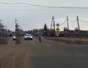 Из Якутии в Москву идет новый шаман изгонять Путина