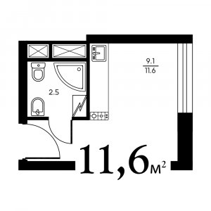 Крохотная, тесная, но своя. В России начали строить микроквартиры