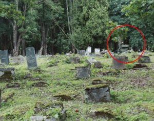 Немецкие солдаты осквернили еврейское кладбище в Каунасе