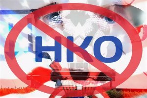 В Думе собрались запретить иностранным НКО открывать в России филиалы