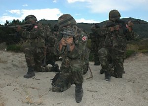 СМИ: на севере Сирии разгромлен отряд спецназа Турции.