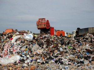 В России выбрасывают 17 миллионов тонн еды